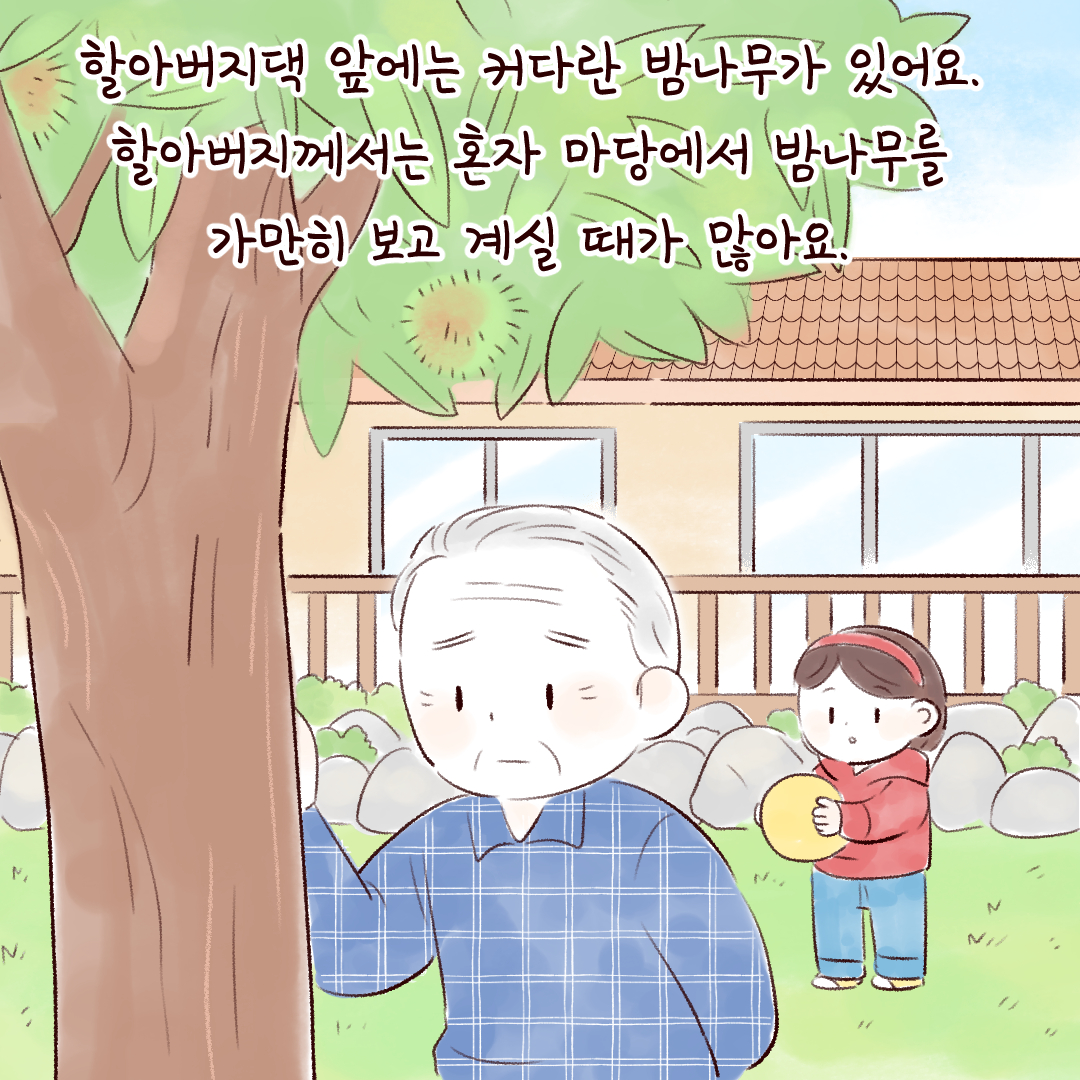 할아버지댁 앞에는 커다란 밤나무가 있어요.
할아버지께서는 혼자 마당에서 밤나무를 가만히 보고 계실 때가 많아요.
