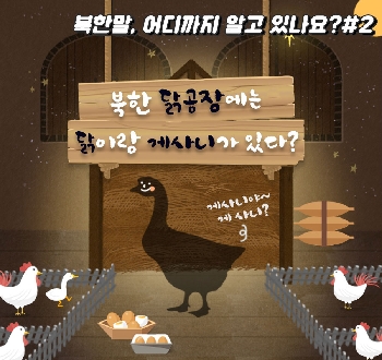 북한말, 어디까지 알고 있나요?#2
북한 닭공장에는 닭이랑 게사니가 있다?