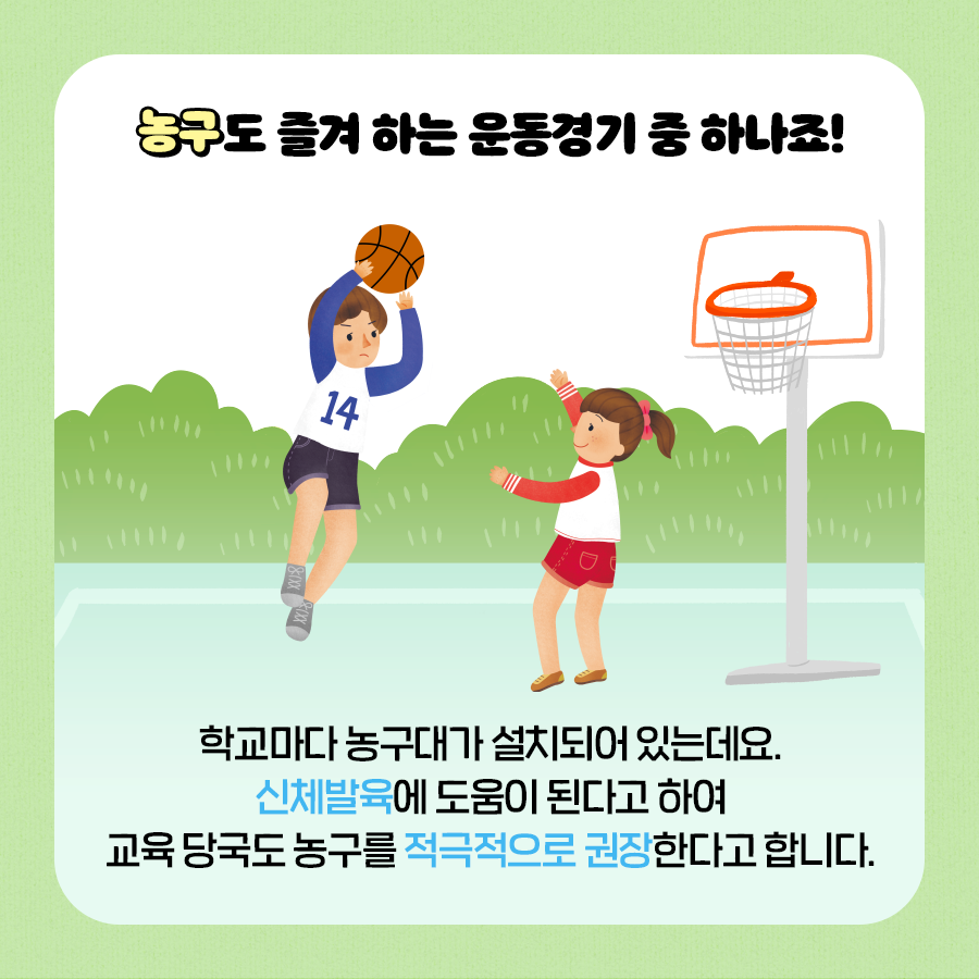 농구도 즐겨 하는 운동경기 중 하나죠!
학교마다 농구대가 설치되어 있는데요. 신체발육에 도움이 된다고 하여 교육 당국도 농구를 적극적으로 권장한다고 합니다.
