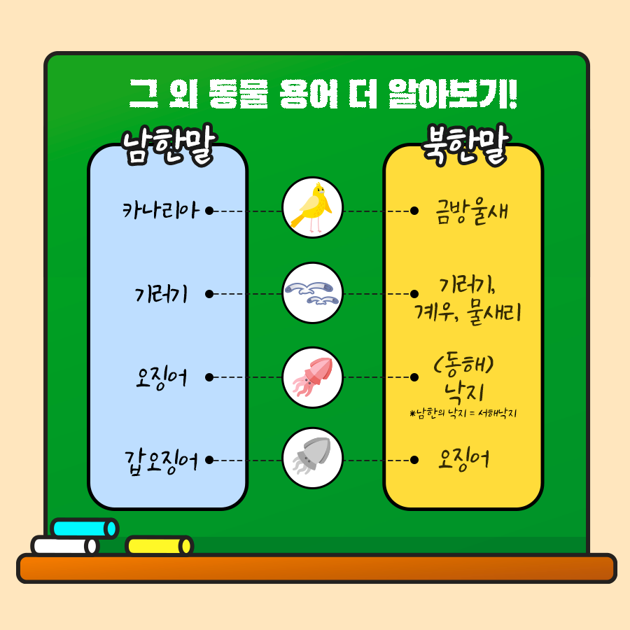 그 외 동물 용어 더 알아보기!
남한말 / 북한말  카나리아/금방울새, 기러기/기러기,계우,물새리, 오징어/(동해)낙지.
갑오징어/ 오징어
