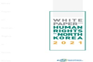 2021 북한인권백서 (영문)