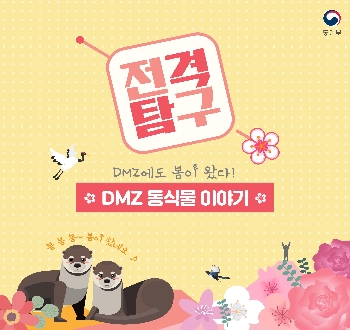 전격탐구
DMZ에도 봄이 왔다!
DMZ 동식물 이야기