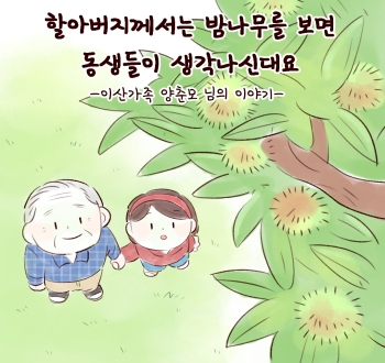 할아버지께서는 밤나무를 보면 동생들이 생각나신대요-이산가족 양춘모 님의 이야기-